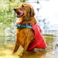 thumbnail image 6 of Kurgo Surf n’ Turf Dog Life Jacket, Floatation Vests for Dogs, Dog PFD, Yellow/Blue, Medium, 6 of 6