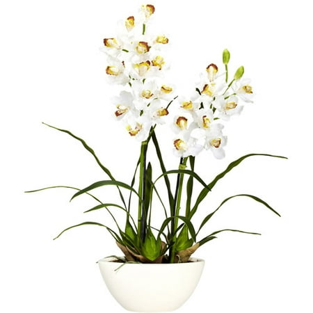 Potted Cymbidium - Nearly Natural Cymbidium with White Vase Silk Flower Arrangement
