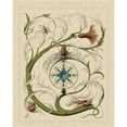 thumbnail image 3 of Vision Studio 15x18 Black Modern Framed Museum Art Print Titled - Decorative Flourish III, 3 of 5