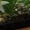 Black, variant on Winnturry 120 Gallon Reptile Tank Stand with Charging Outlet, 48 Inch Aquarium and Terrarium Rack Holds 1000 lbs, Steel and Particle Board Enclosure Table with Storage Shelves for Bearded Dragons