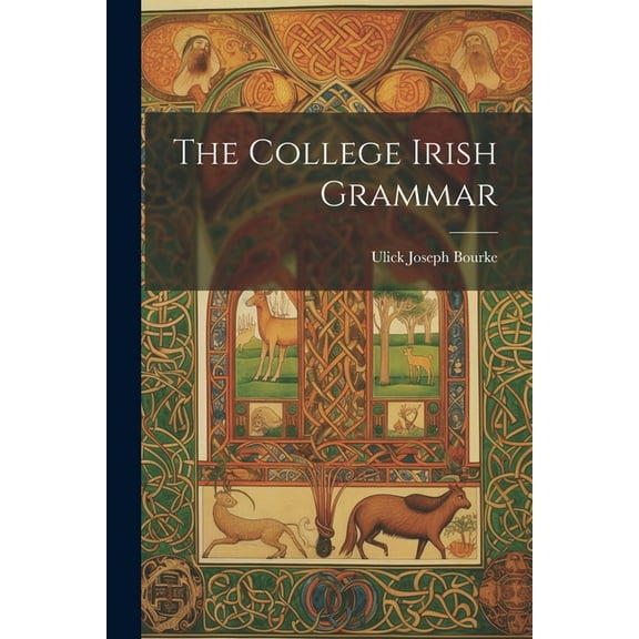 The College Irish Grammar (Paperback)