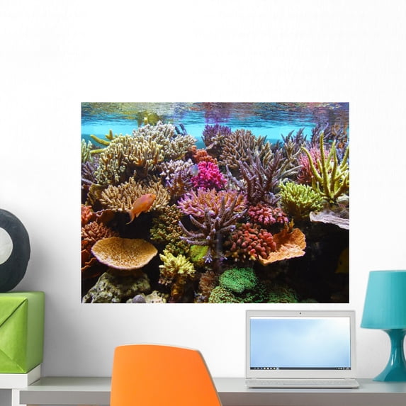 Corals Aquarium Wall Mural by Wallmonkeys Peel and Stick Graphic (24 in W x 18 in H) WM18341