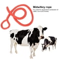 thumbnail image 4 of Nylon Material Midwifery Rope, Midwifery Rope Obstetric Rope, And Other Livestock Cow For Farm Cattle, 4 of 8