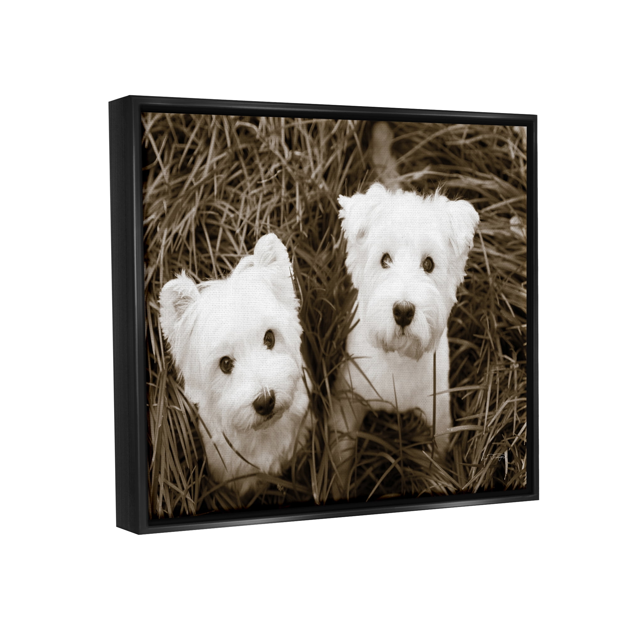 Stupell Industries White Terrier Puppies Animals & Insects Photography Black Floater Framed Art Print Wall Art, 31 x 25