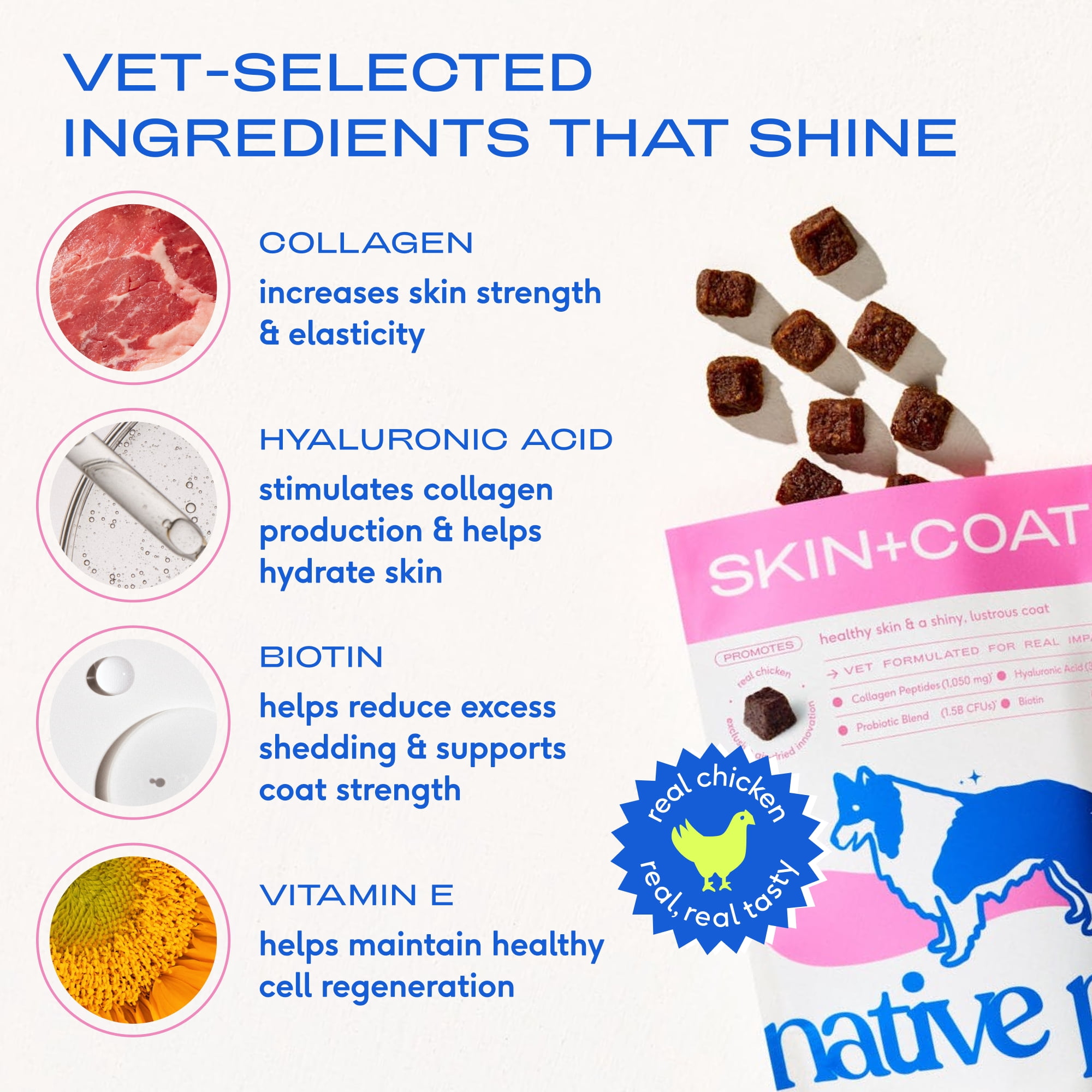 Native Pet Skin and Coat Chews for Dogs with Salmon Oil and Collagen for Healthy Skin and Shiny Coat, 60ct