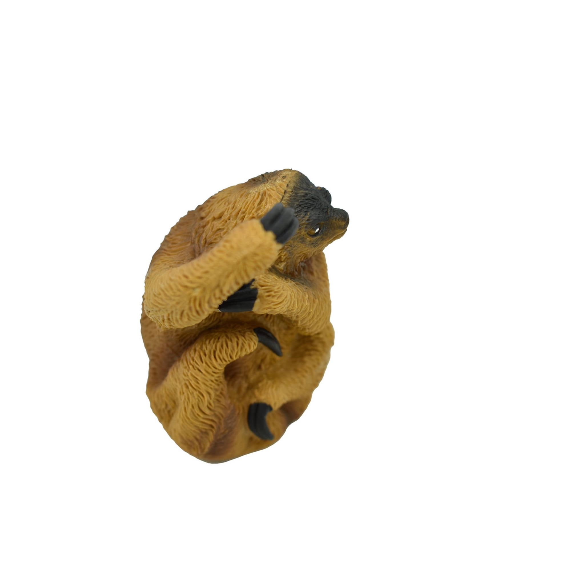Sloth Three-toed, Realistic Small Toy Model Plastic Replica Rainforest Animal, Kids Educational Gift 3" F578 B120