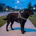 thumbnail image 6 of No Pull Dog Harness with Soft Mesh Padded, Fully Adjustable Walking Harness for Medium Large Dogs, Reflective Front Clip Harness for Training and Hiking, 6 of 7