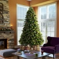 thumbnail image 5 of Vickerman 15' Cashmere Pine Artificial Christmas Tree, Warm White Dura-Lit® LED Lights, 5 of 5