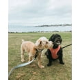 thumbnail image 6 of Fable - Signature Dog Leash, 6 of 11
