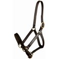 thumbnail image 3 of Gatsby Leather Adjustable Turnout Halter Without Snap, 3 of 3