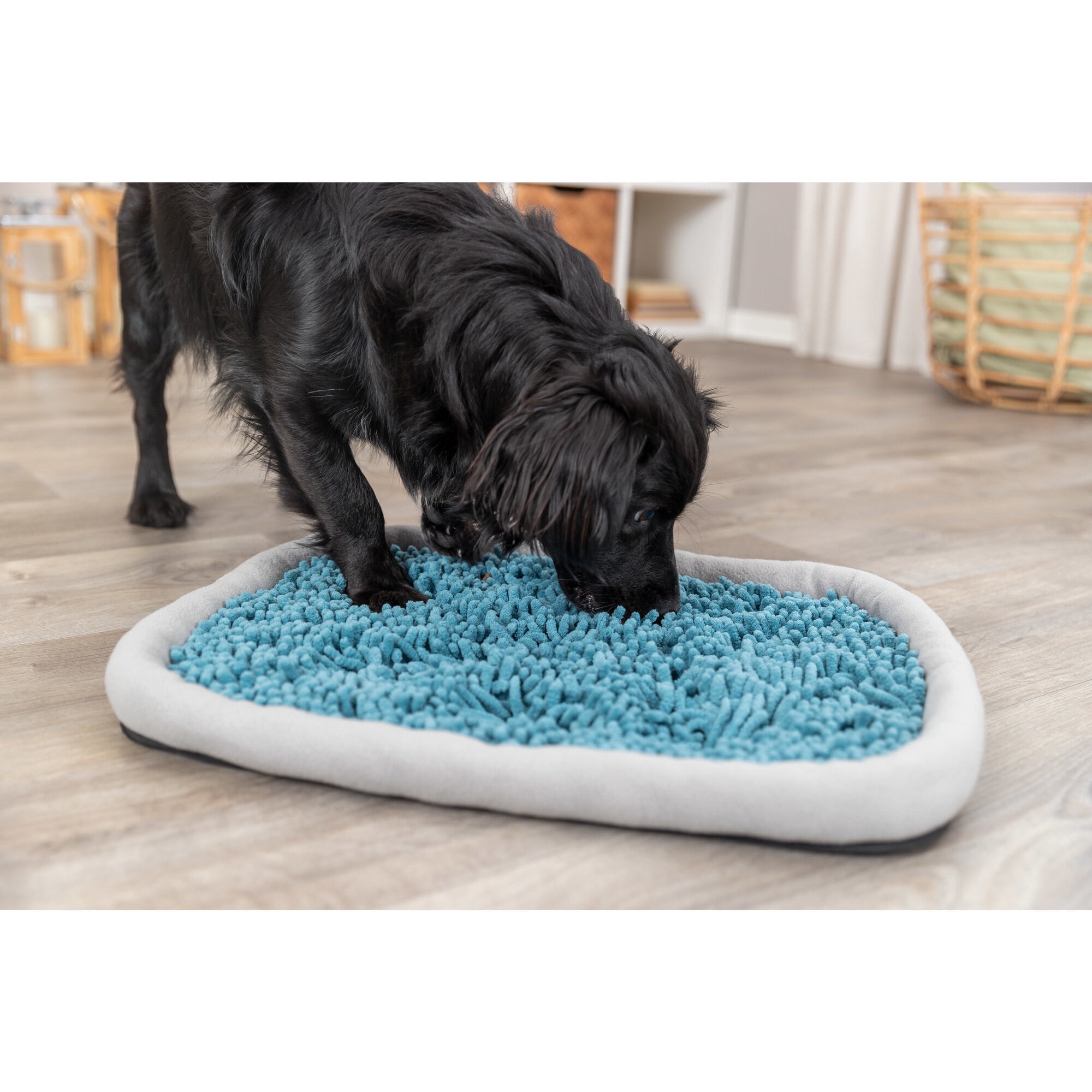 TRIXIE Snuffle & Seek Plate, Sniff Mat, Slow Feeder, Level 1 Enrichment Puzzle for Dogs & Cats