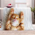 thumbnail image 1 of Blanket Throw Large, Kids Adults Microfiber Fluffy Soft Warm Lightweight 3D Cat, 1 of 7