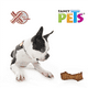 thumbnail image 3 of CARNAZA SABOR TOCINO (10-13 CM) - 1 PZ Fancy Pets FL3723, 3 of 3