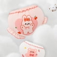 thumbnail image 6 of TOWED22 Training Underwear Absorbent Toddler Training Pants for Boys and Girls, Cotton Reusable Pee Pants(Pink,2-3 Y), 6 of 8