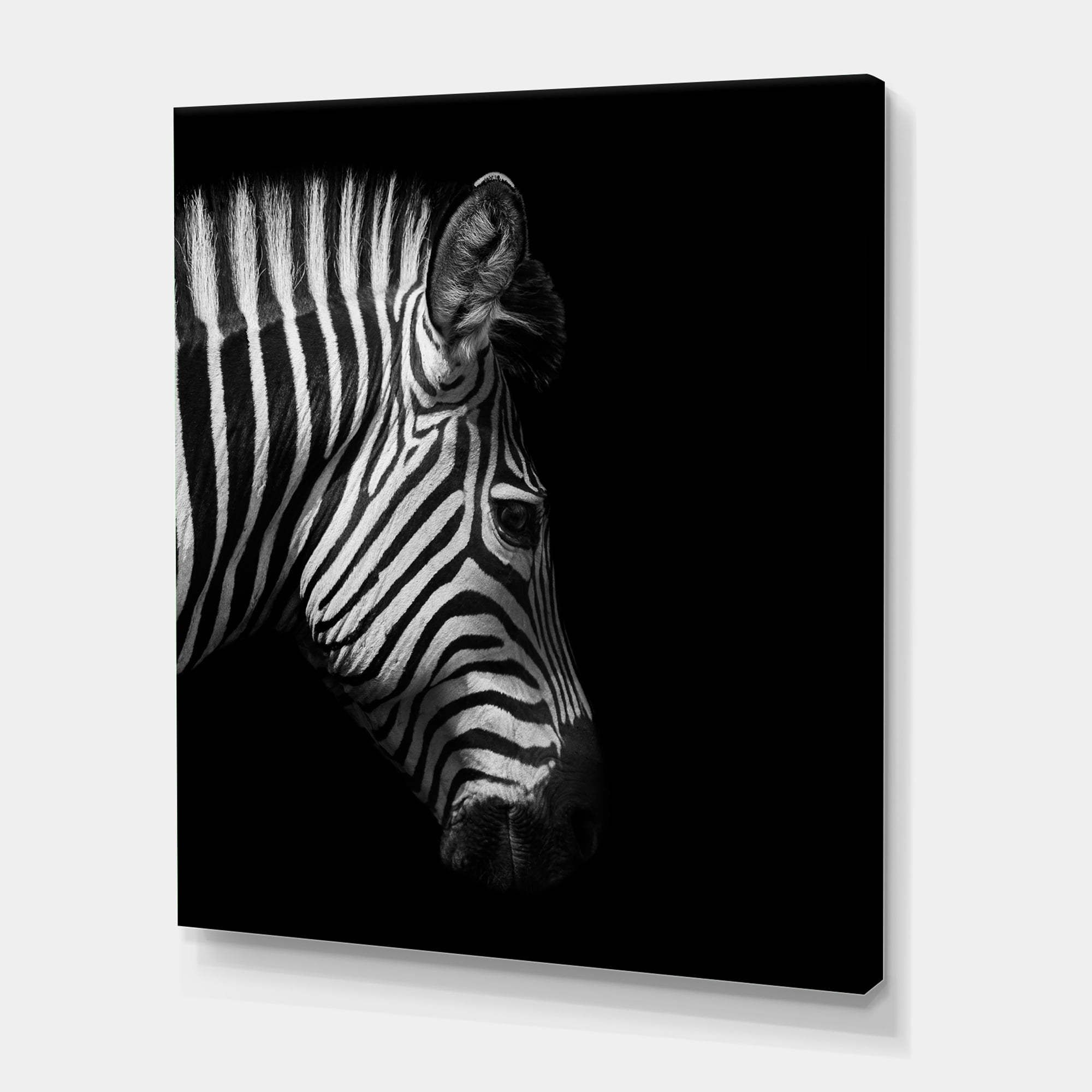 Designart ' Black and White Portrait of Zebra Head ' Farmhouse Canvas Wall Art Print