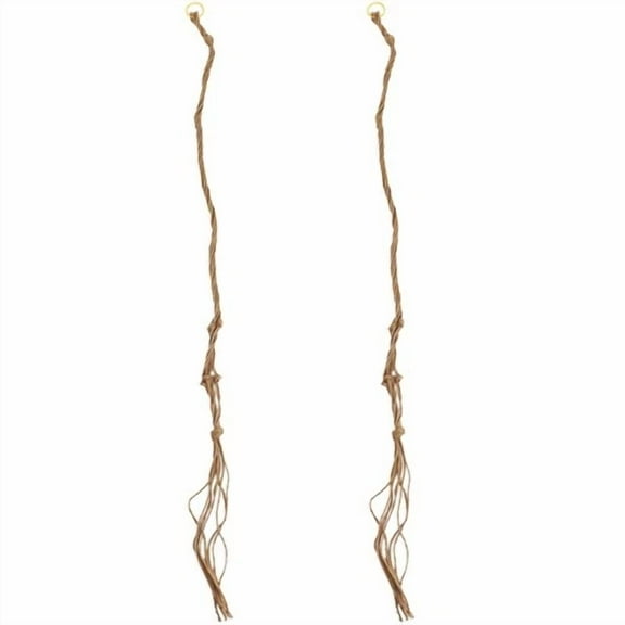 2 Pcs Hanging Basket Net Bag Wall Planter Nursery Jute Hangers Indoor/Outdoor