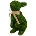 thumbnail image 6 of Northlight Standing Moss Easter Rabbit Figurine - 10", 6 of 6