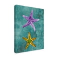 thumbnail image 2 of Trademark Fine Art 'Twin Starfish II' Canvas Art by Alicia Ludwig, 2 of 4