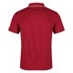 thumbnail image 2 of Regatta - Polo Maverick V Activo para Hombre (Bosque Intenso), 2 of 3
