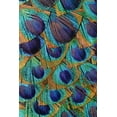 thumbnail image 2 of Jones, Adam 23x32 White Modern Wood Framed Museum Art Print Titled - Pattern in peacock feathers, 2 of 4