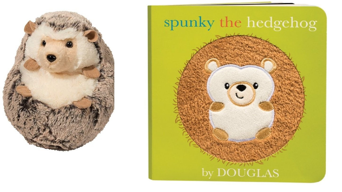 spunky hedgehog