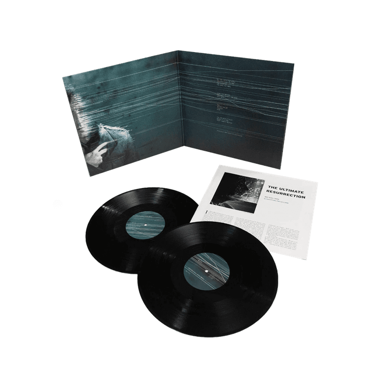 Blåt mærke Kedelig anspændt Nine Inch Nails - With Teeth (Explicit) - Vinyl - Walmart.com