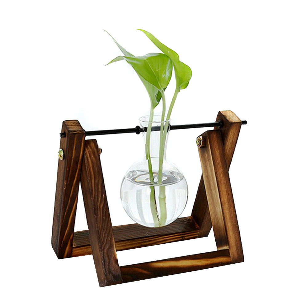 Hydroponic Glass Planter Bulb Vase with Wooden Stand Tray Tabletop Desk