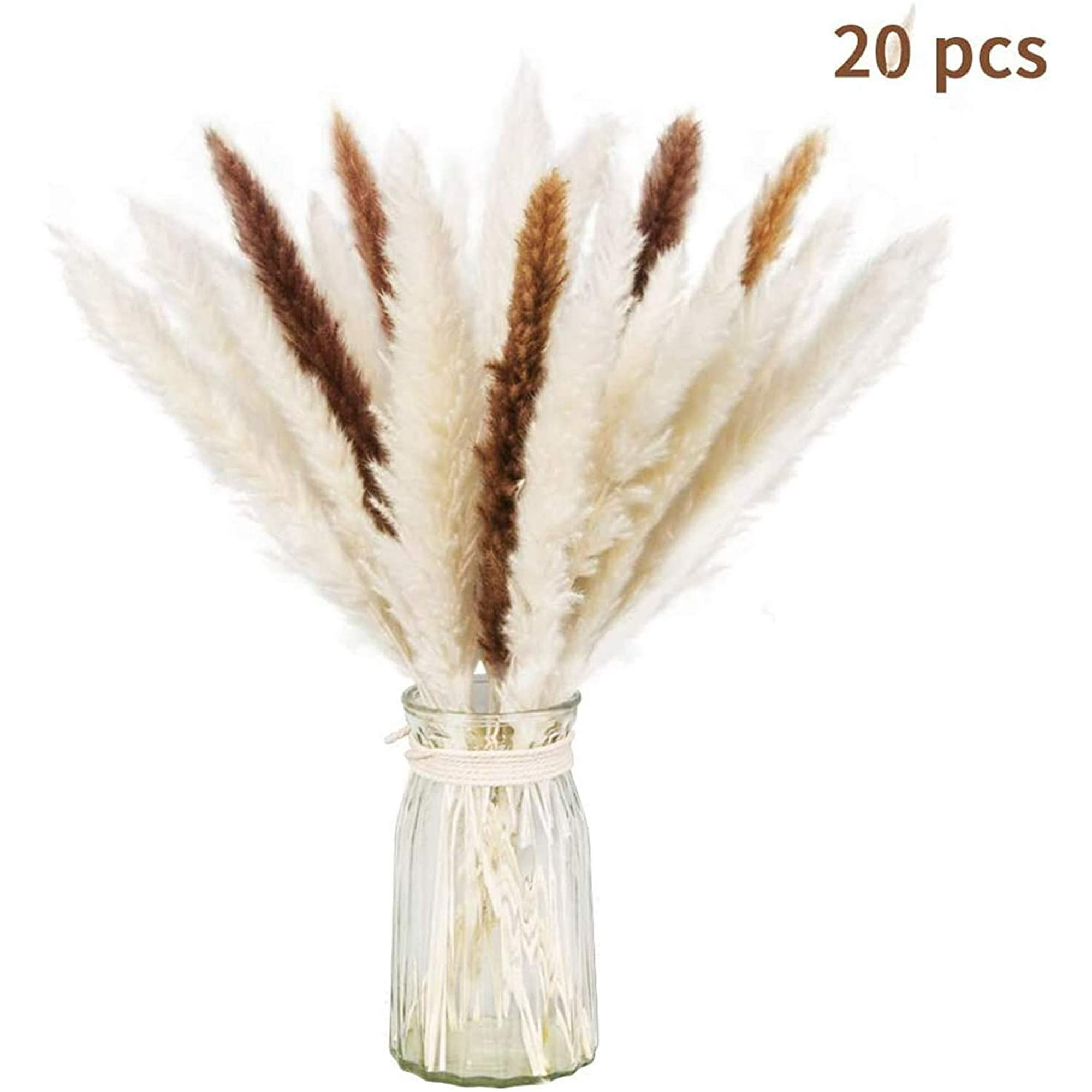 Lot séché naturel d'herbe de pampa sèche pour la décoration intérieure 20  pièces (blanc + marron) | Walmart Canada