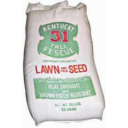 The Dirty Gardener Kentucky 31 Tall Fescue Grass Seed - 25