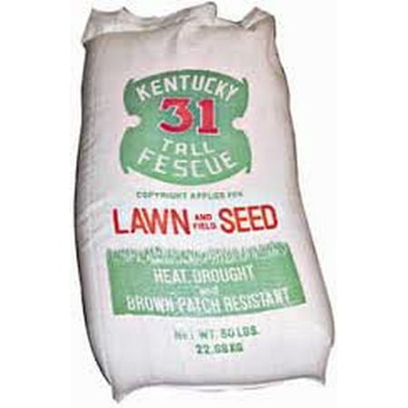 The Dirty Gardener Kentucky 31 Tall Fescue Grass Seed - 25 (Best Fescue Grass Seed For Georgia)