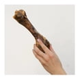 thumbnail image 2 of Hueso Femur Horneado 1 Pieza, 2 of 3