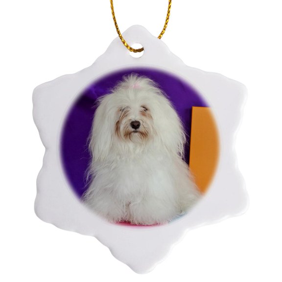 3drose, a Havanese Dog - Us05 Zmu0276 - Zandria Muench Beraldo, 3 inch Snowflake Porcelain Ornament