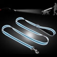 thumbnail image 4 of Taglory Dog Leash, 4ft Nylon Reflective Leashes for Small Dogs Walking & Training, Skyblue, 4 of 7