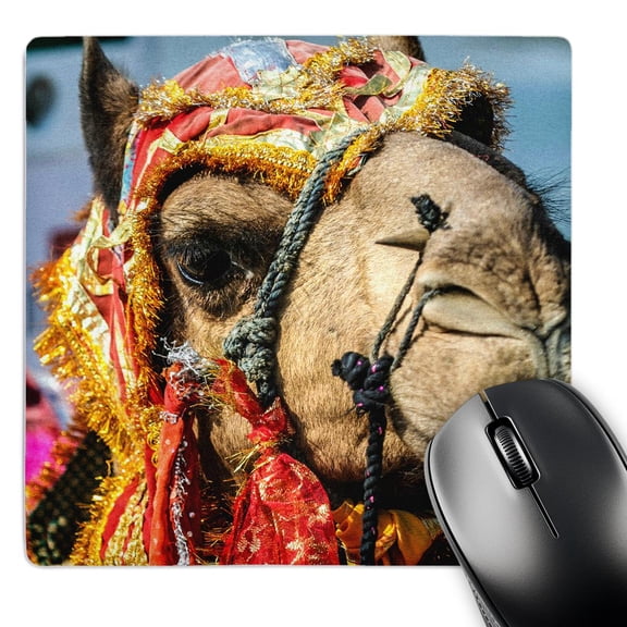 3dRose, Decorated Camel, Diwali Festival of Lights, Udaipur, Rajasthan, India., MousePad