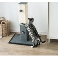 thumbnail image 3 of "Catry 32"" Large Gray & White Modern Sisal Scratching Post with Fleece and Rope", 3 of 9