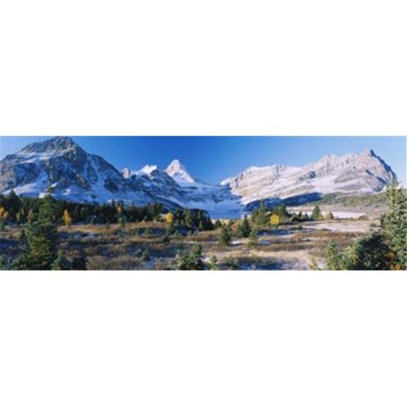 Trees on a landscape in front of a mountain range  Mt Assiniboine  Mt Assiniboine Provincial Park  British Columbia  Canada Poster Print by  - 36 x 12