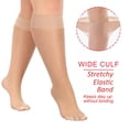 thumbnail image 2 of G&Y Medias hasta la Rodilla para Mujer Talla Plus - 9 Pares con Puño Acanalado Ensanchado, Nude, 2 of 5