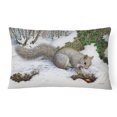 thumbnail image 1 of Carolines Treasures ASA2180PW1216 Grey Squirrel Fabric Decorative Pillow, 1 of 3