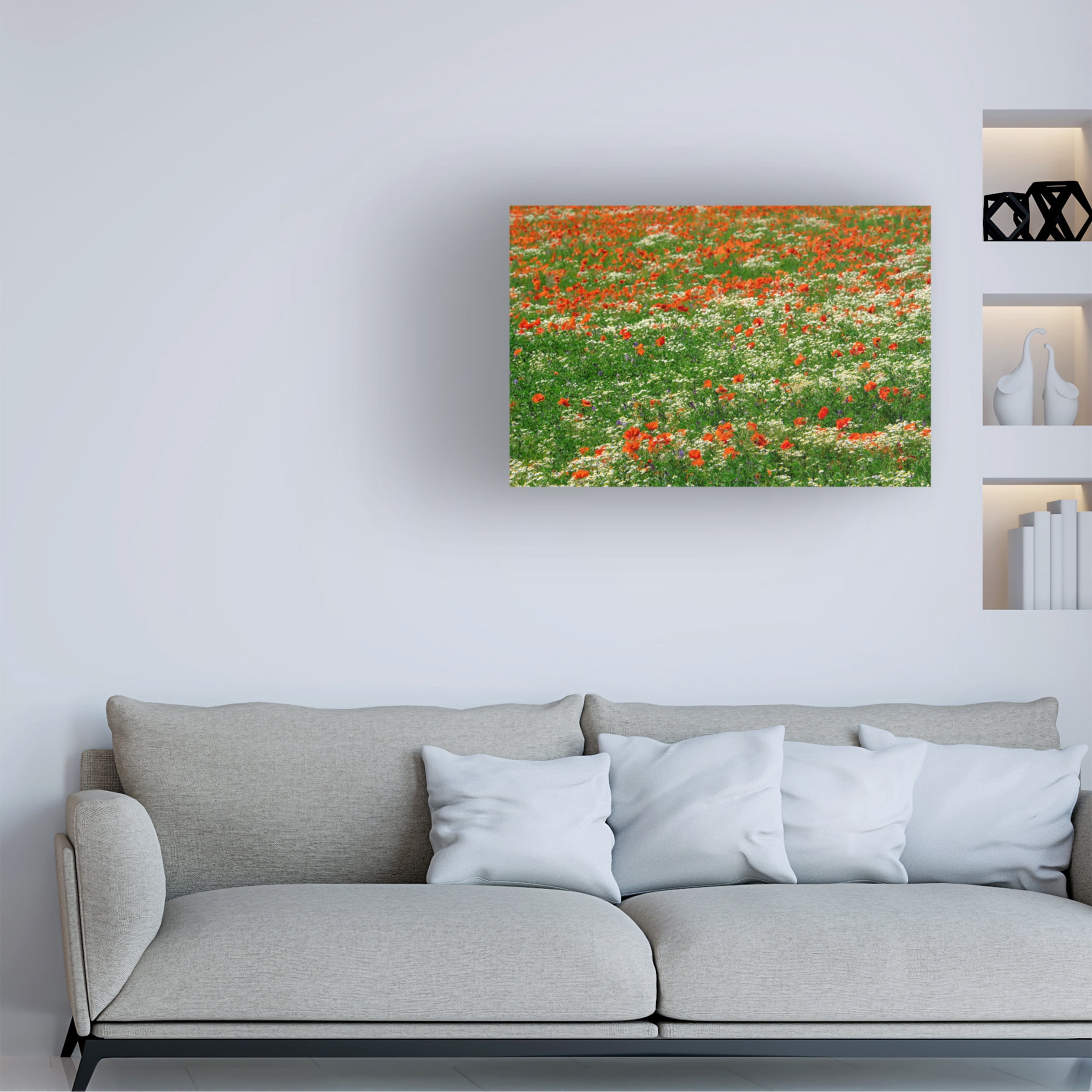 Cora Niele 'Poppies and Chamomile Field' Canvas Art