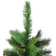 thumbnail image 4 of Northlight 3' Prelit Artificial Christmas Tree New Carolina Spruce - Clear Lights, 4 of 6