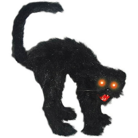 Cat with Light up Eyes
