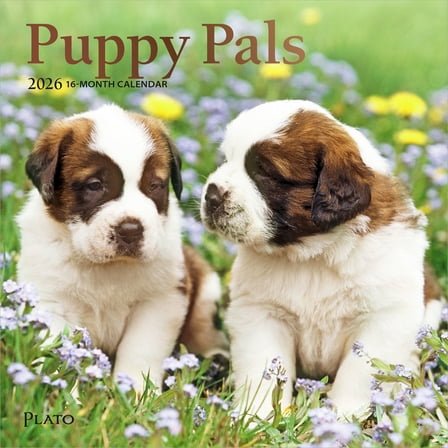 Puppy Pals | 2026 7x14" (Hanging) Monthly Mini Wall Calendar | Plato