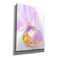 thumbnail image 2 of Epic Graffiti 'Phalaenopsis Orchid' by Pamela Plummer, Canvas Wall Art, 12"x16", 2 of 8