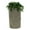 Sandstone, variant on Good Ideas IMP-D50-DAR Impressions Downton Rain Saver Rain Barrel, 50 Gallon, Dark Granite