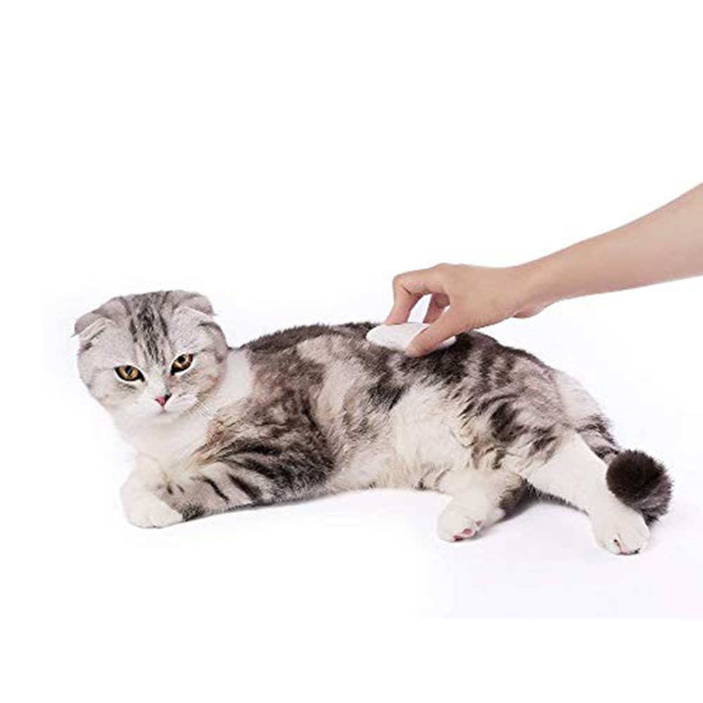 PETKIT Brush and Massager for Dogs and Cats, Pet Bath Grooming Brush, Soft Silicone, White Color Comb Brush