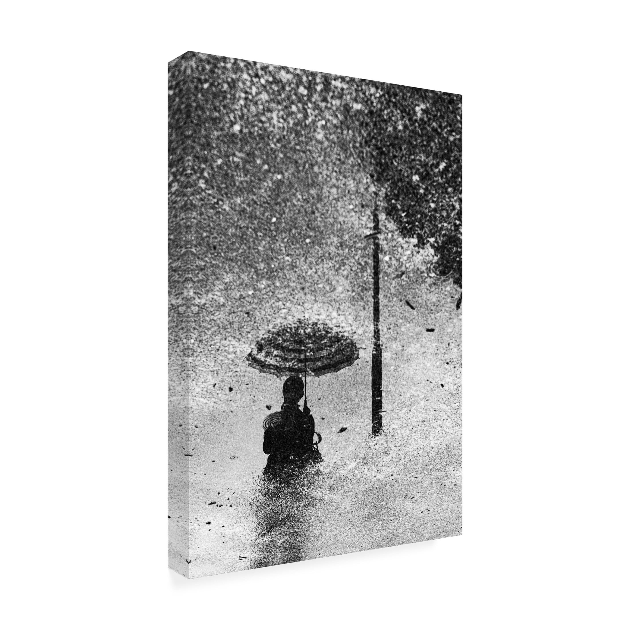 Trademark Fine Art Kentaro Watanabe Ground Canvas Wall Art