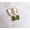 Rose Gold Plating, variant on Oval Chrome Diopside Lever Back Earring.