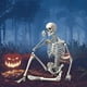 thumbnail image 5 of Esqueleto de Halloween de 16 pulgadas, decoración Flexible de Halloween, modelo de esqueleto de cuerpo completo para césped delantero, accesorio de Sunnimix esqueleto de halloween, 5 of 8