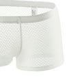 thumbnail image 3 of Herrnalise Men's Underwear Multipack Modal Men's Fashion Boxer Shorts Mesh Breathable Sexy Underpants, 3 of 3