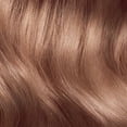 thumbnail image 5 of Clairol ColorStrong Permanent Zero Ammonia Hair Dye, 8.63 Sunset Rose - Coral Sands Hair Color, 1 kit, 5 of 6